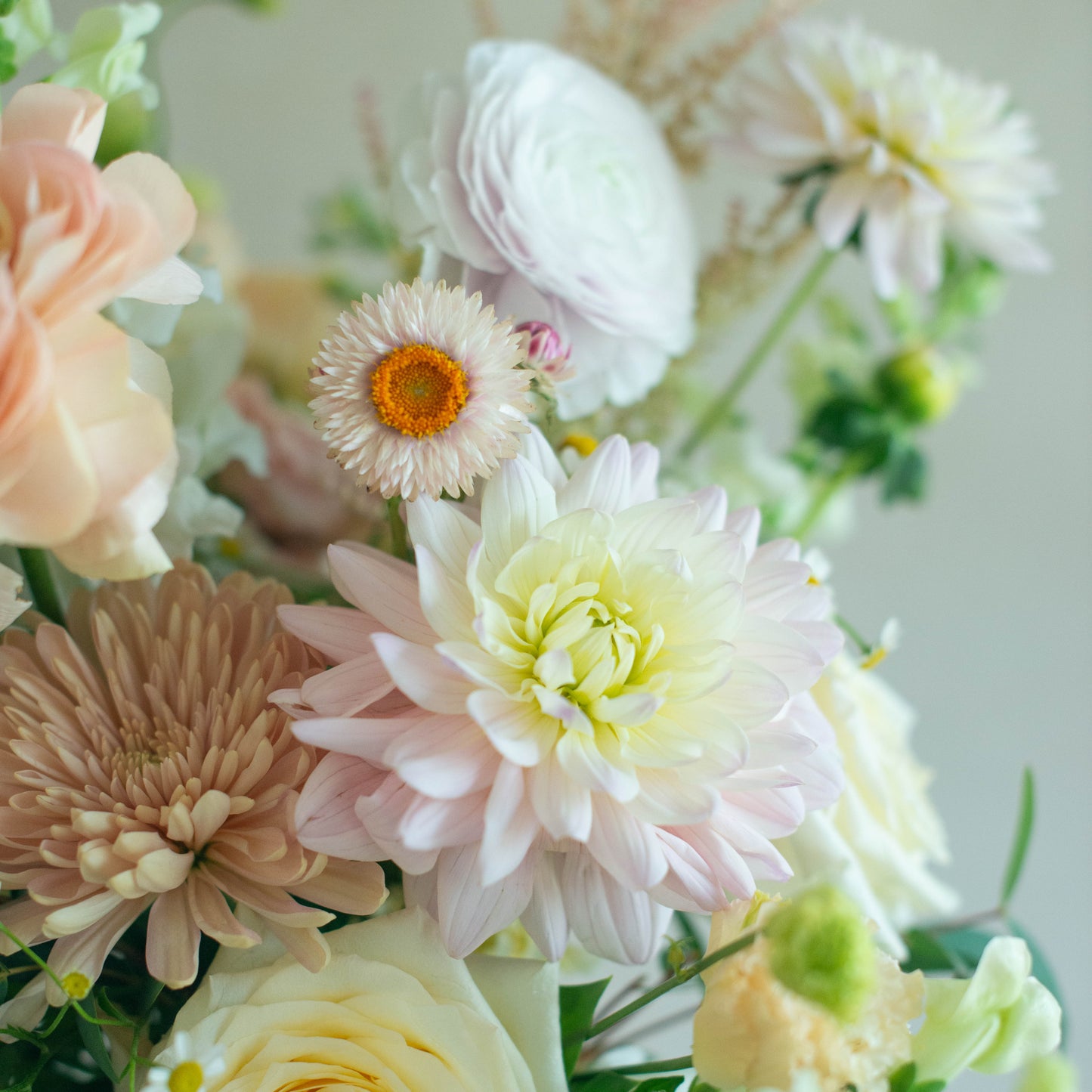 Close-up of a bouquet of flowers with a soft focus background