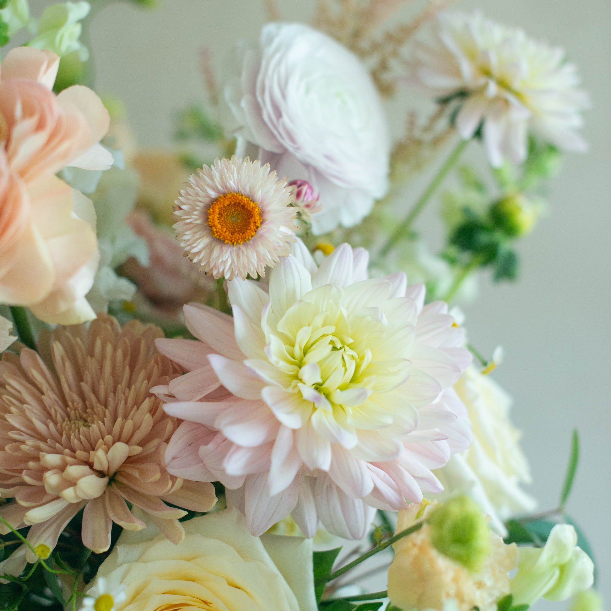Close-up of a bouquet of flowers with a soft focus background
