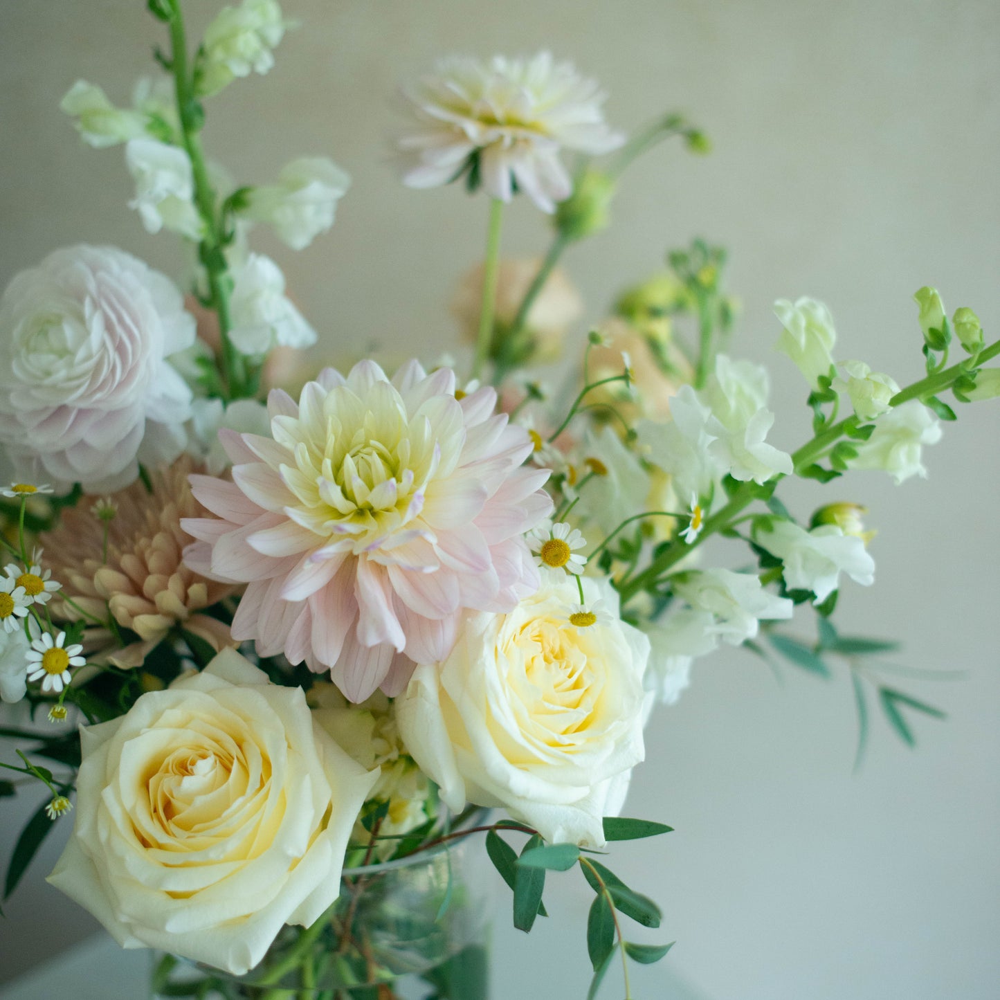 Bouquet of flowers with white, pink, and green colors on a light background